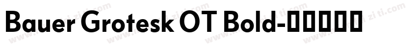 Bauer Grotesk OT Bold字体转换
